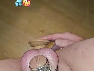 Киска целомудрие сиссигазм