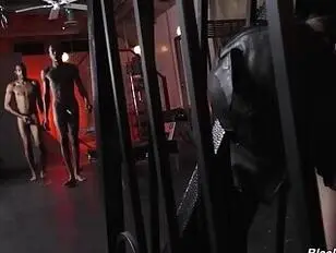 Femboy Slaves si sottomette a 2 BBC Alpha