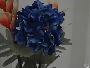 Ich mag Klitoris und Muschis von Transfrauen.