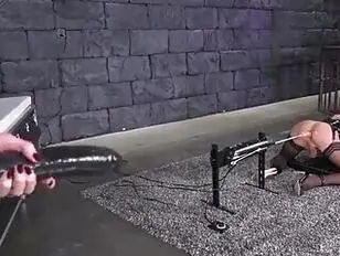 houdt van menigte tot transseksueel