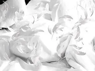 Two Thais take another off the street and fuck her and her husbandfout