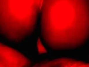 paraíso de luz roja