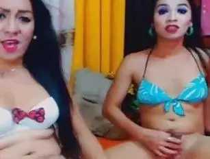 transessuali incantevoli giocano con i loro Ladycocks